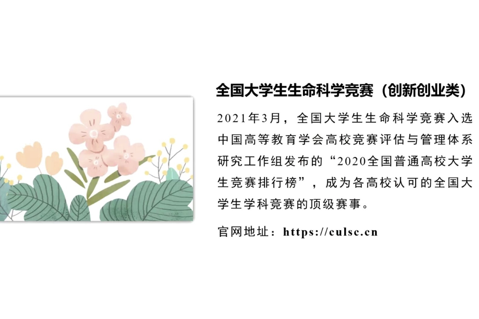 sunbet申搏